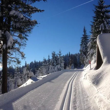 Apartamento Mummelhaus Sehmatal