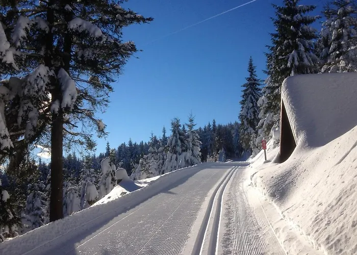 Apartament Mummelhaus Sehmatal